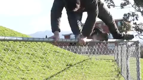 How Animals Get Over a Fence (With Emojis) 😂
