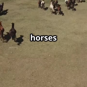 Genghis Khan's Untold Tactics in 60 Seconds Flat