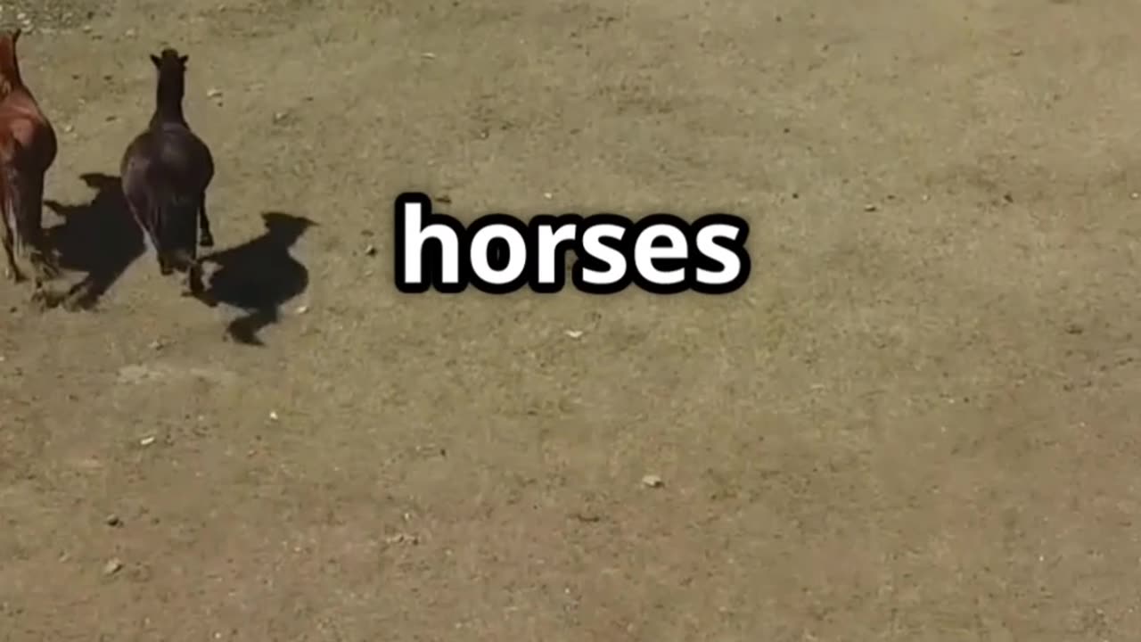 Genghis Khan's Untold Tactics in 60 Seconds Flat