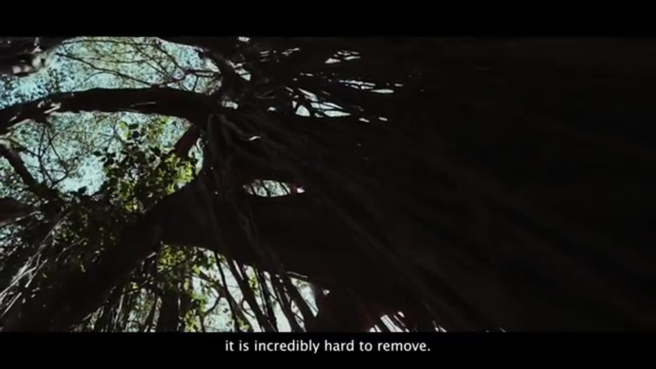 How Religion Manipulates You