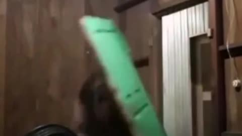 🤣Epic Fails & Facepalms Compilation! Must Watch