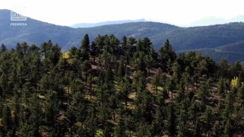 DOWODY ZBRODNI 5 dokument pl