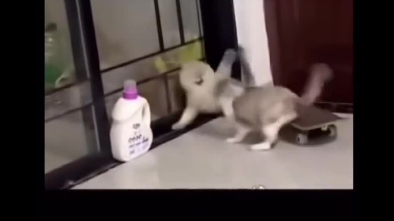 Bro took an uber just to fight