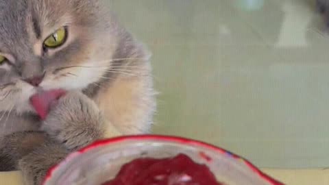 Eating ice cream also wants to compete with me