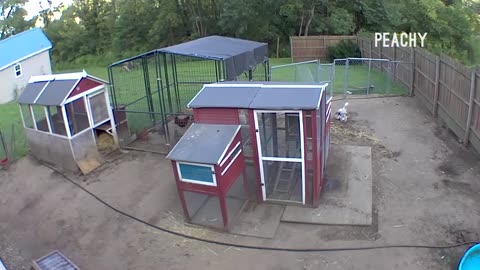 Ladies FAILS on SECURITY CAMERAS Compilation BEST Fails Peachy 2023