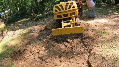 “How to Remove Four Uprooted Stumps Fast DIY Guide”
