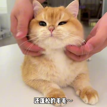 📹 Trending Chinese Viral Videos | Funny, Emotional & Shocking Moments