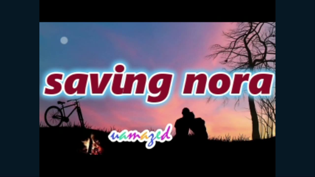 N0RA-1330 to 1347.mp4
