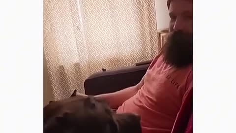 Weird Dog reaction🐶