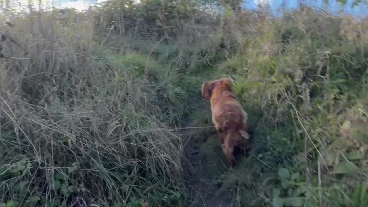 28/10/25 12mile trail run with willow