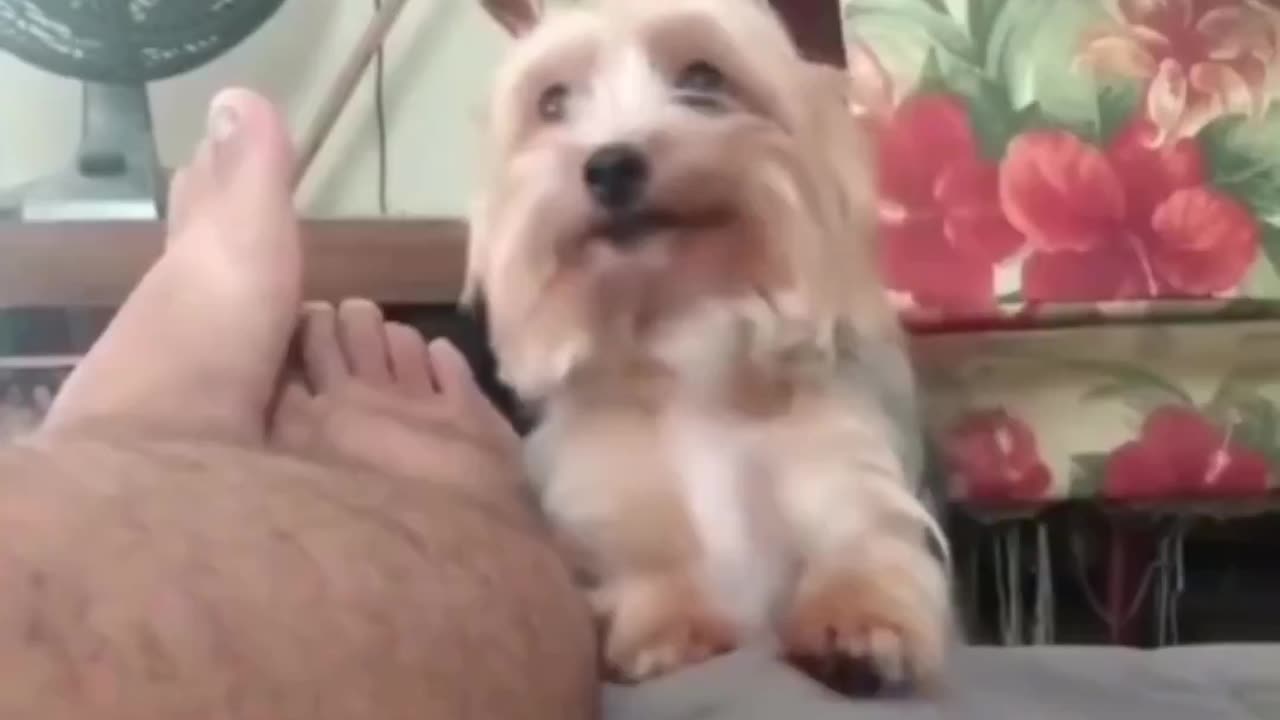 How can you resist this? 🥺
