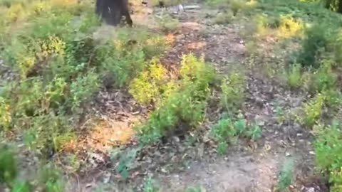 Night Coding Hardcore Lofi Mix