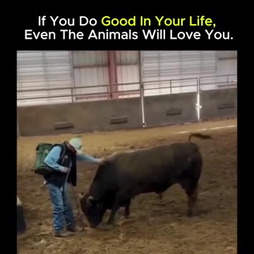 An unbelievable scene, but true...