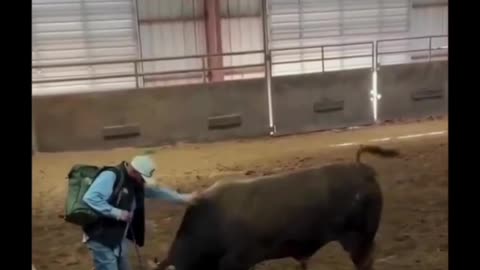 An unbelievable scene, but true...