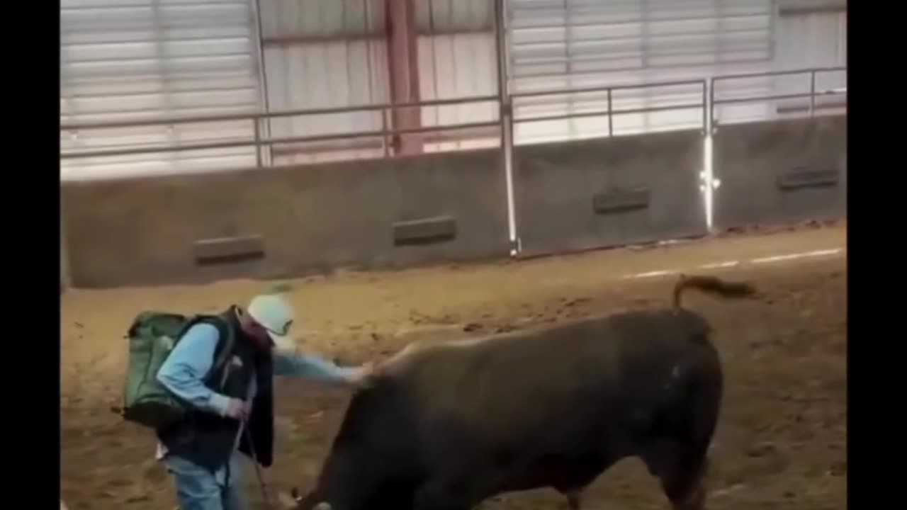 An unbelievable scene, but true...