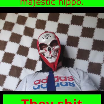 I wanna reincarnate as a hippo fr