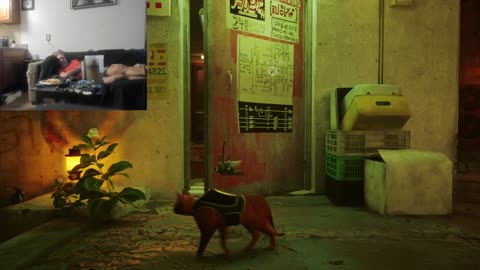 Stray aka That Pussy Bowlshit