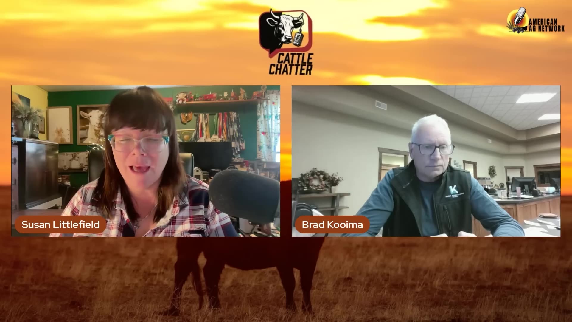 TYSON FOODS – Will Shut Down Packing Plant Responsible for Producing 5% of America’s Beef