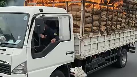 Animal warning to humans