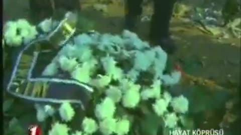 Hayat Köprüsü