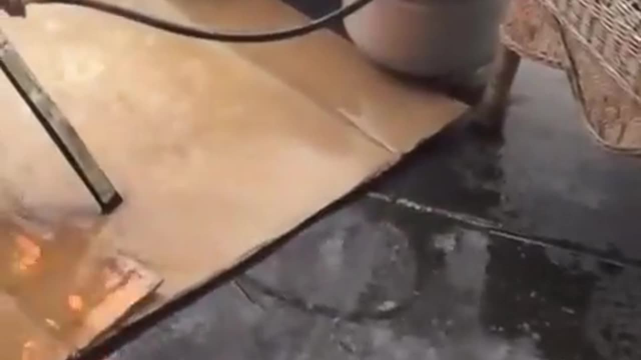 🤣🔥 Hilarious Cooking Fails You Can't Miss! | FunFM