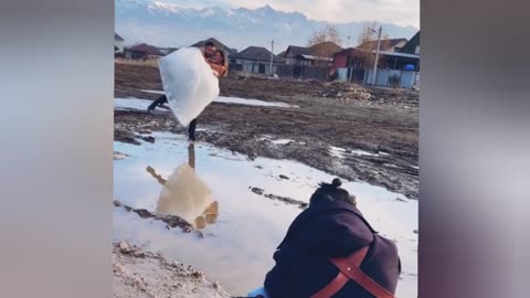 Top 10 Most Hilarious Wedding Fails Caught on Camera