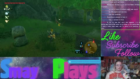 🗡️🏹Zelda: Breath of the Wild Play Through (Part 22{b})🏹🗡️