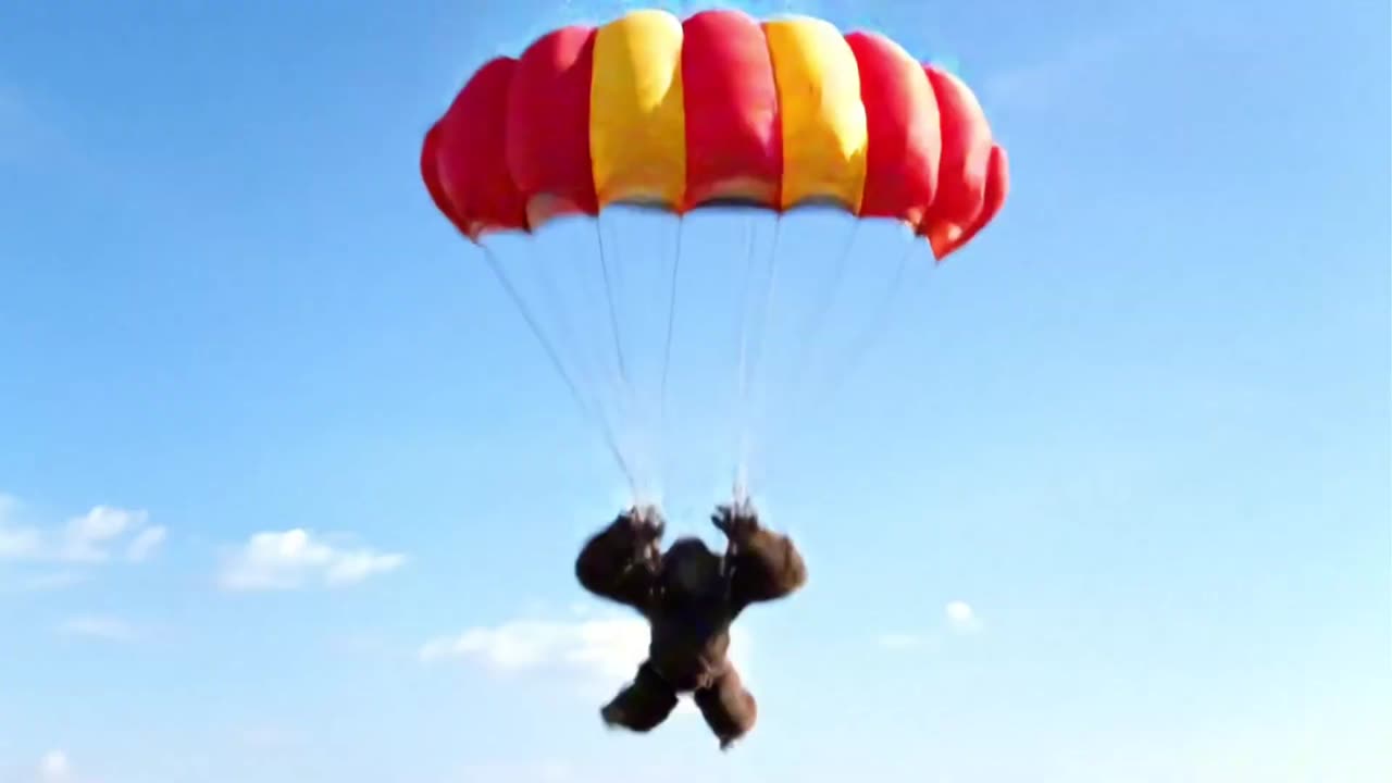Bigfoot goes skydiving 🪂