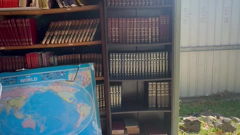 Mollusc shells, acidic peepee, and salt expansion made these holes. Really?