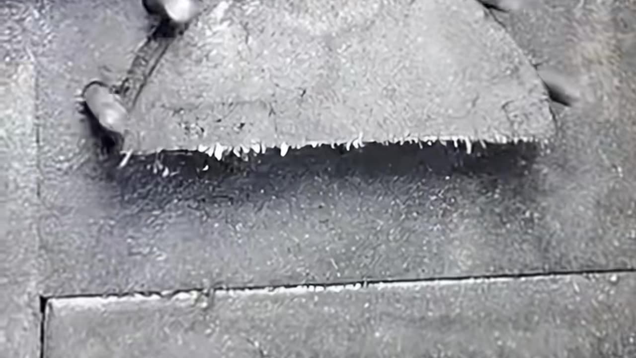 🤯✨ Watch This Machine In Action! | FeedMyCuriosity