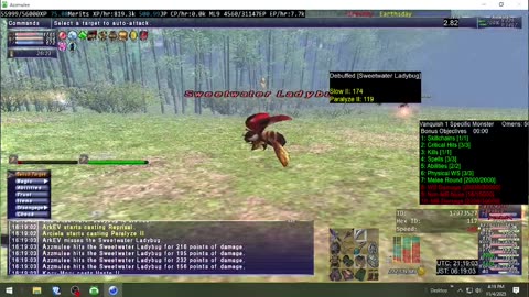 Playing Final Fantasy XI Online