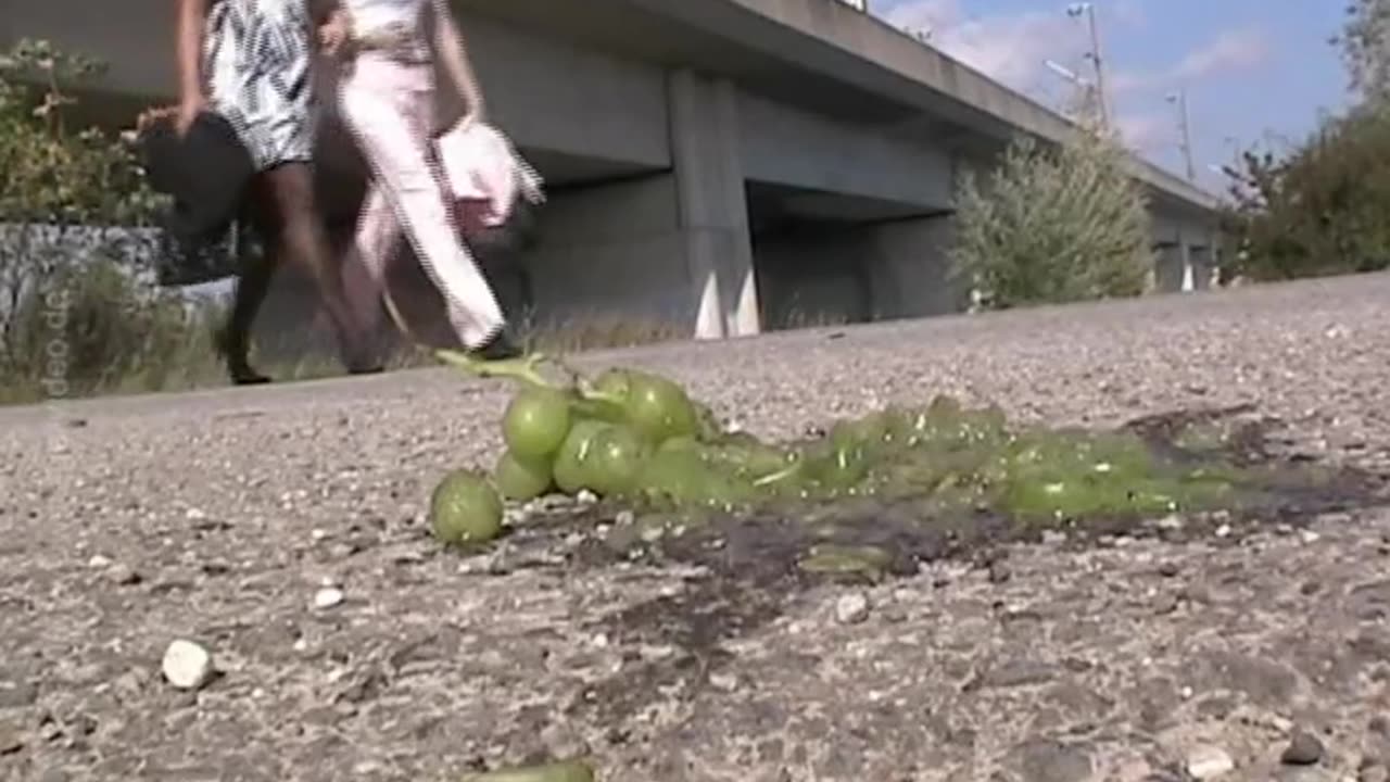 Grapes in the Way