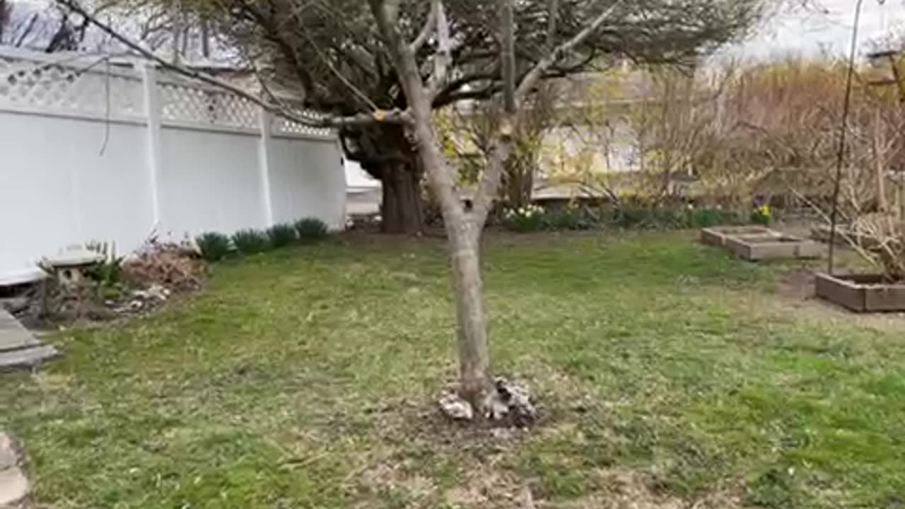 Moving