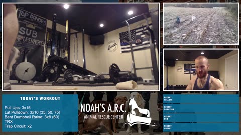 LBL Session w/Remy pup [Week 14] - Back & Traps // Animal Rescue Stream :)