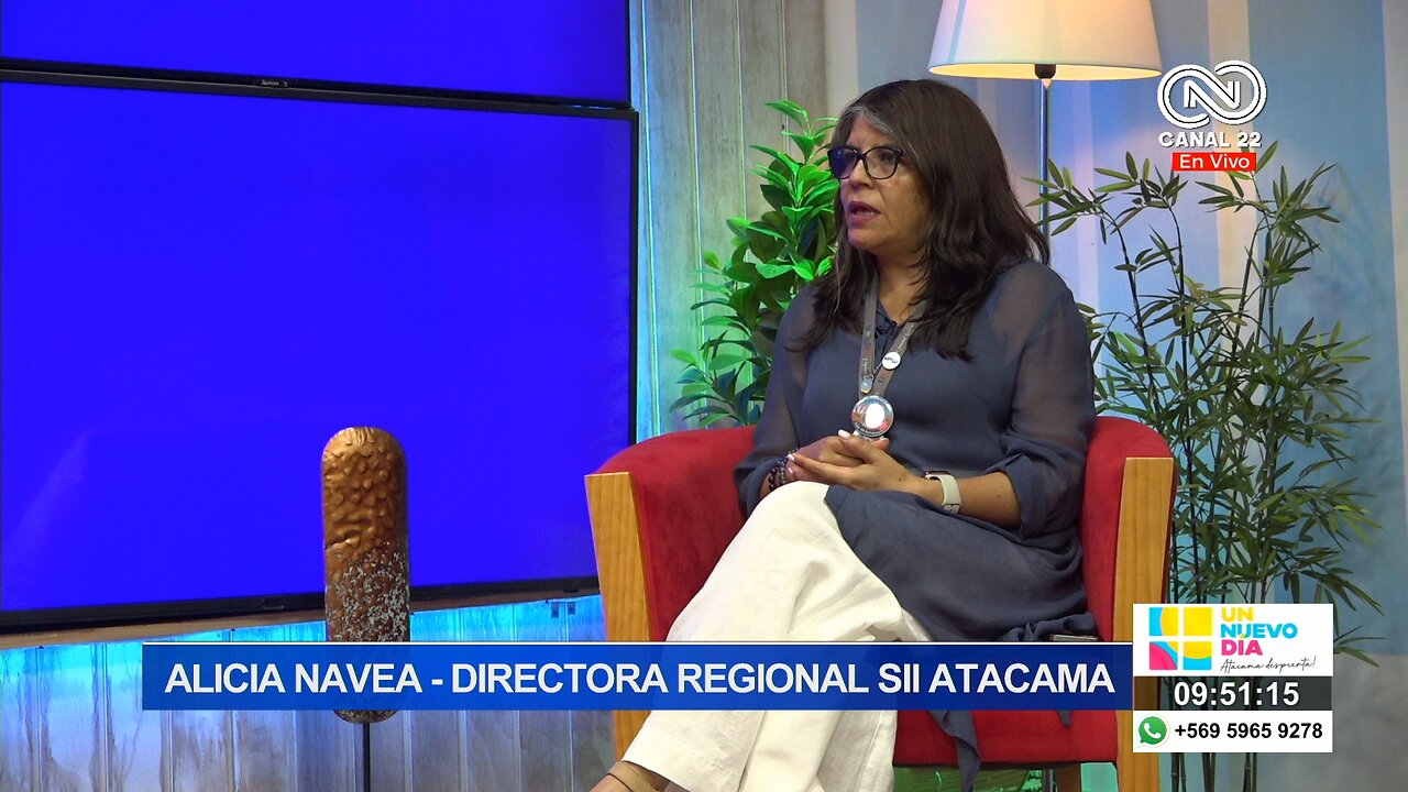 Alicia Navea Directora Regional SII Atacama