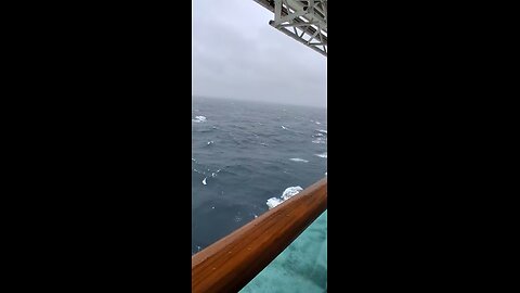 alaskan cruise upper decks closed 67mph winds #viral #travel