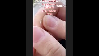 Bill Gates is at it again. Strange bugs with numbers stamped on them. Where is the Raid?