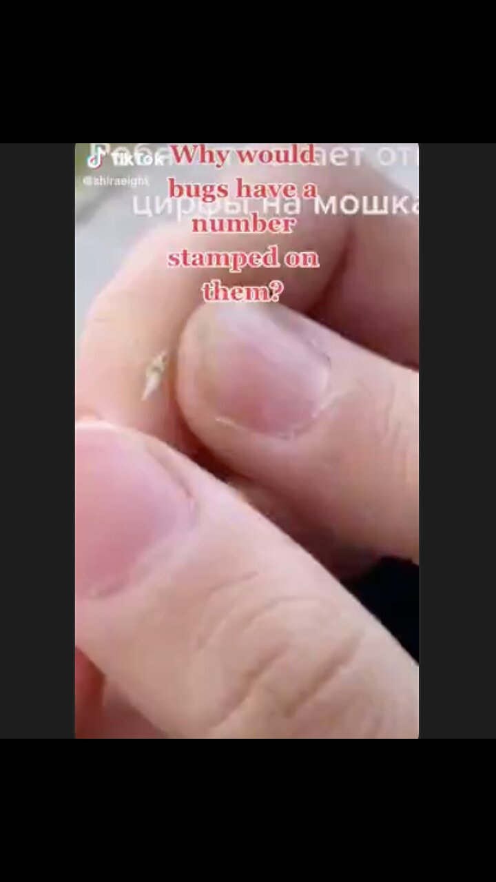 Bill Gates is at it again. Strange bugs with numbers stamped on them. Where is the Raid?