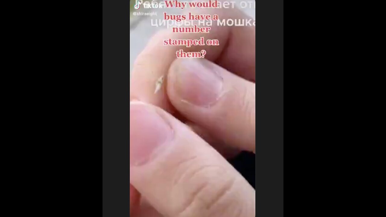 Bill Gates is at it again. Strange bugs with numbers stamped on them. Where is the Raid?