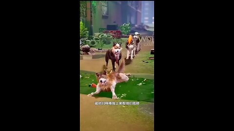 wolf gamve epic wolf pack battle #wolf #fyp #short #new