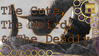 The Cute, The Weird, & The Deadly – Around the Hearth 2025 (Scrub Front & Back )