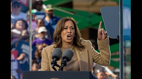 Kamala Harris Gets Totally Skewered by Democratic Competitor, Called Out for “Blatant Lies”