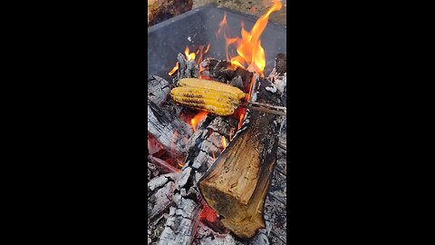 grilled cron on the cob 🪵food 🍲