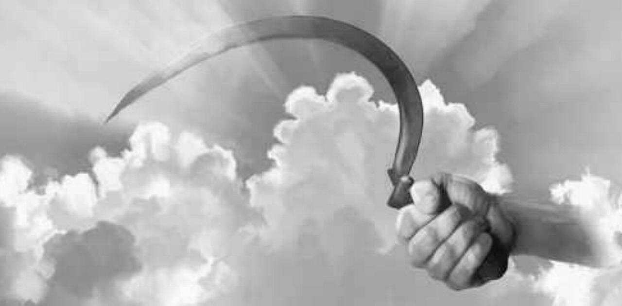 GOD ABOUT TO REAP HIS HARVEST