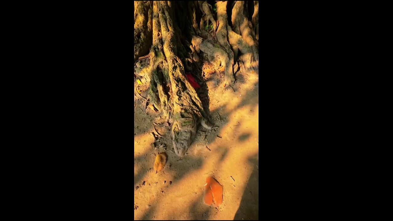 Do you think greatness is a one time thing?