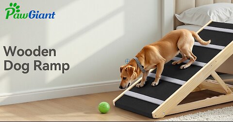 PawGiant Dog Ramp