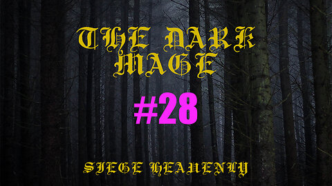 The Dark Mage - Chapter 28: Vixie's Civil Reforms