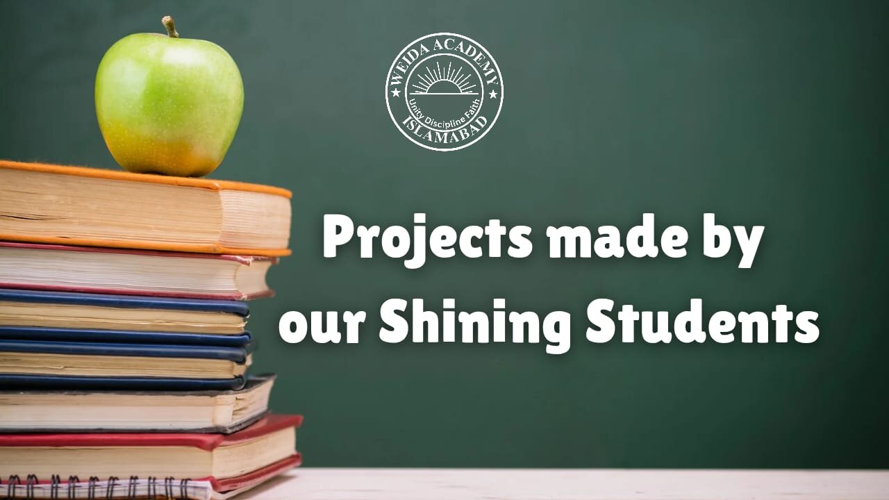 Creative projects made by our talented students | Weida Academy