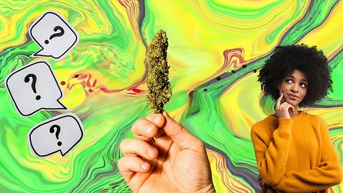 Cannabis Museum Viewer Questions