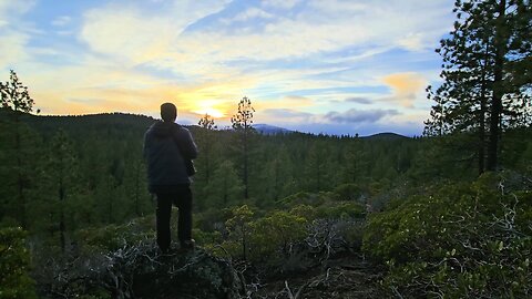 WordHike 133, 2 Ki 18:1-8, 2 Chr 29-31, Ps 48, Col 1